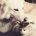 Profile Picture of daniela.piscitelli (@daniela.piscitelli) on Instagram