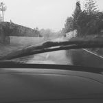 brian - Instagram Profile Picture of brian (@brianrodenassss) on Instagram