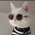 Profile Picture of Mark Nocera (@mark._.nocera) on Instagram