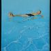 Profile Picture of JPP Plasseraud (@pierplasseraud) on Pinterest