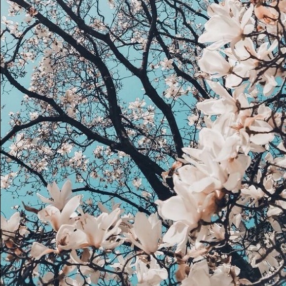 Profile Picture of Grace Gsellman (@gracegsellman) on Poshmark