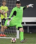 Profile Picture of Alex Ivanovon Wikipedia