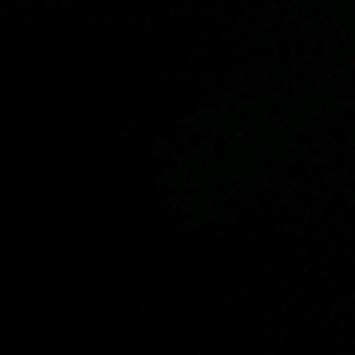 Profile Picture of alexia (@alexia_byr) on Tiktok