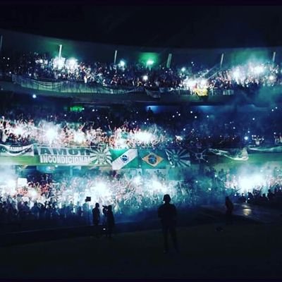 Profile Picture of Joy Barros (@JoyBarros2) on Twitter