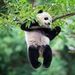 Profile Picture of Joan Kantorski (@joankantorski) on Pinterest