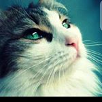 Profile Picture of Marc Mathieu (@marcmathieu67) on Instagram