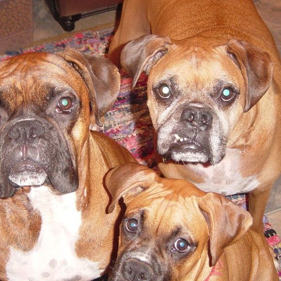 Profile Picture of David Greco (@david_greco) on Poshmark