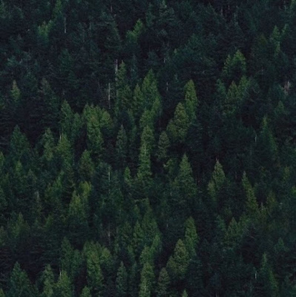 Profile Picture of Kepler Kallen (@keplerkallen) on Poshmark