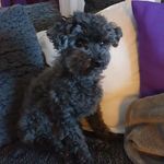 Profile Picture of Graham Ingeborg (@augs34) on Instagram