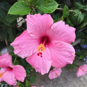 Profile Picture of Janet Griffiths (@janetlynn44) on Pinterest