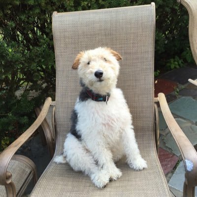 Profile Picture of Jerry Manley (@gtwm2002) on Twitter