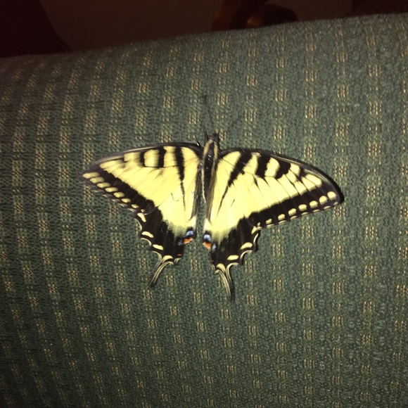 Profile Picture of Patti Alderman (@pattincase) on Poshmark