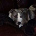 Profile Picture of Marc Hodges (@marc.hodges) on Instagram