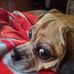 Profile Picture of Michelle Dopp (@michelle.dopp.7) on Facebook