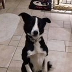 Profile Picture of Lea Kremer (@leakremer) on Instagram