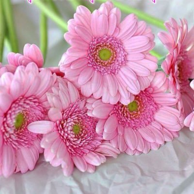 Profile Picture of Nitikarn (@nitikarn) on Twitter