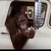 Profile Picture of Steve Elmstrand (@elmer75) on Pinterest