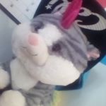 Profile Picture of Savannah Harden (@wolfie_398) on Instagram
