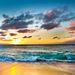 Profile Picture of Tracie Thomas (@T_racieT) on Pinterest