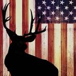 Profile Picture of Tracy Kuntzsch (@tracykuntzsch) on Instagram