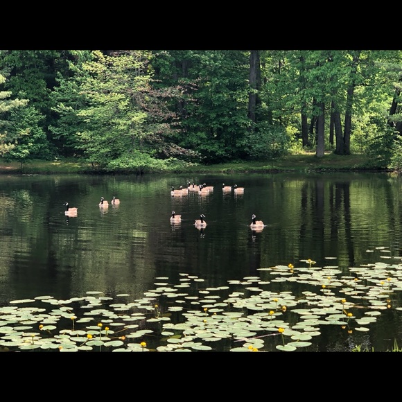 Profile Picture of Nan Ma (@nkattiya) on Poshmark