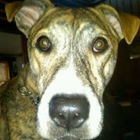 Profile Picture of Cindi Conner (@cindi-conner) on Quora