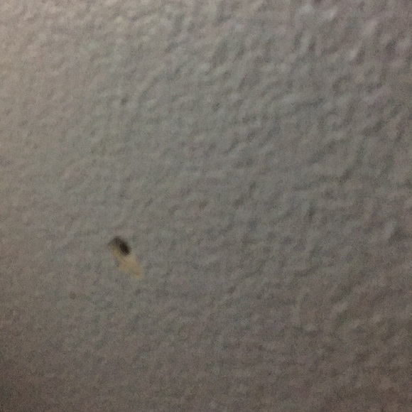 Guerry Guerrier - Poshmark Profile Picture of Guerry Guerrier (@guerry554) on Poshmark