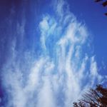 Profile Picture of Aaronlsdude Ronning (@aaronlsdude) on Instagram