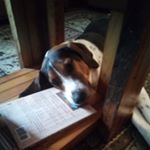 Profile Picture of Kevin Peavy (@fishingfool64) on Instagram