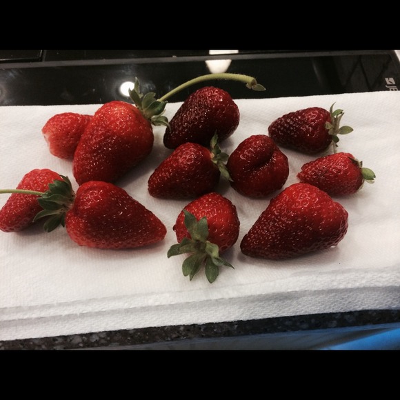 Lori Cortner - Poshmark Profile Picture of Lori Cortner (@ebrey) on Poshmark