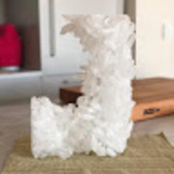 Profile Picture of Joseph Chan (@waiyeuchan) on Poshmark