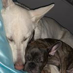 Profile Picture of Stella And Neela (@stella_neela) on Instagram