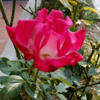 Profile Picture of Zach Stanley (@zach-stanley-4) on Quora