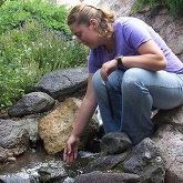 Profile Picture of Melissa Danielson (@alice24601) on Pinterest