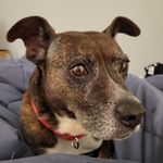 Profile Picture of Raymond Kammerer-Espinoza (@crazyforcarrots15) on Instagram