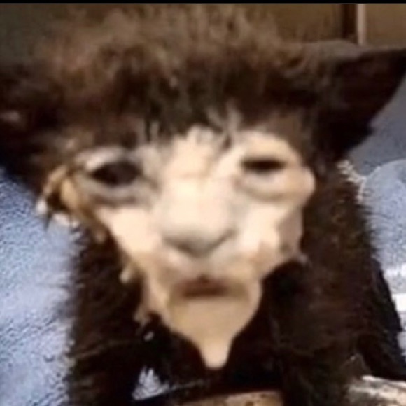 Profile Picture of Ty Fielder (@tfielder14) on Poshmark