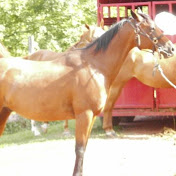 Profile Picture of Tammy Mcgrady (@tammymcgrady4216) on Youtube