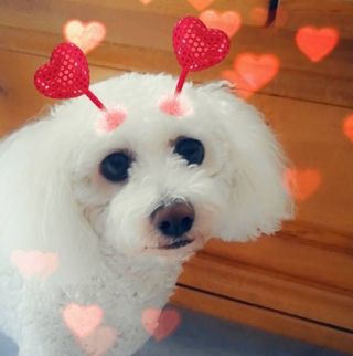 Profile Picture of Lilian Collette (@lilian.collette.9) on Facebook