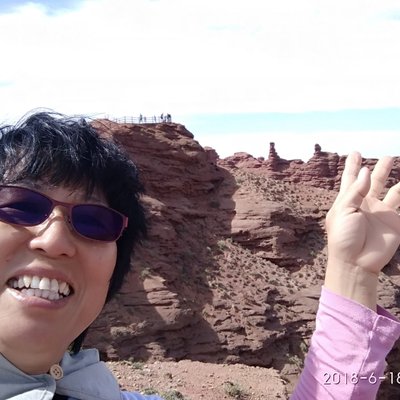 Profile Picture of Wong Kim Yoke (@WongKimYoke1) on Twitter