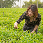 Profile Picture of Derek Chen (@robofc.tw) on Flickr