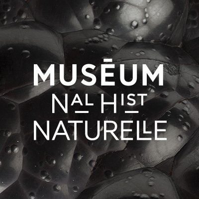 Profile Picture of MNHN (@Le_Museum) on Twitter