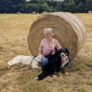 Profile Picture of Laurence Eeckhout (@laureeck) on Instagram