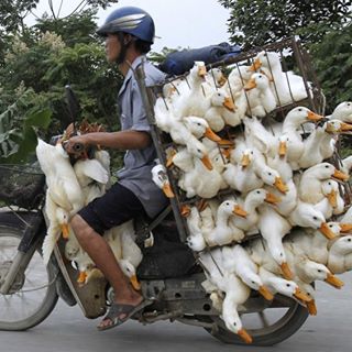 Profile Picture of John Paul Vozza (@johnpaul.vozza.1) on Facebook