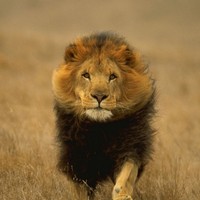 Profile Picture of Ryan Mobley (@ryan-mobley-4) on Quora