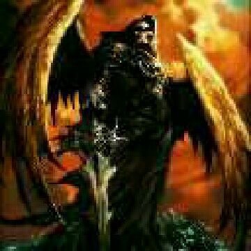 Profile Picture of Aaron Steeves (@AaronSteeves4) on Twitter