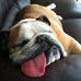 Profile Picture of Monte Armstrong (@Monte-Armstrong) on Facebook