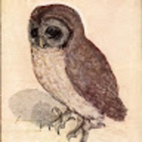 Profile Picture of Sean Dunwoody (@seandunwoody) on Poshmark