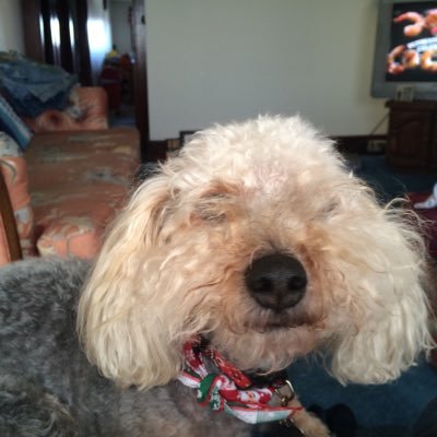 Profile Picture of Carlton L. Spangler (@SpanglerCarl) on Twitter