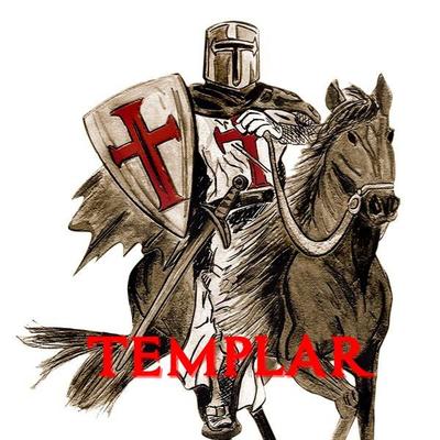Profile Picture of Kevin Nicollas (@KevinTemplar) on Twitter