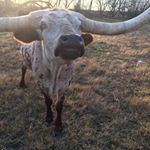 Profile Picture of Tracey Weldon (@tracey.weldon.12) on Instagram